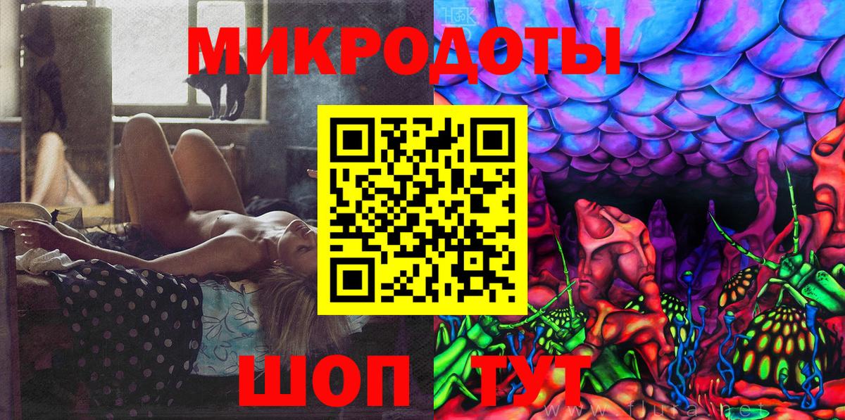 Псилоцибиновые грибы Psilocybine cubensis Белореченск